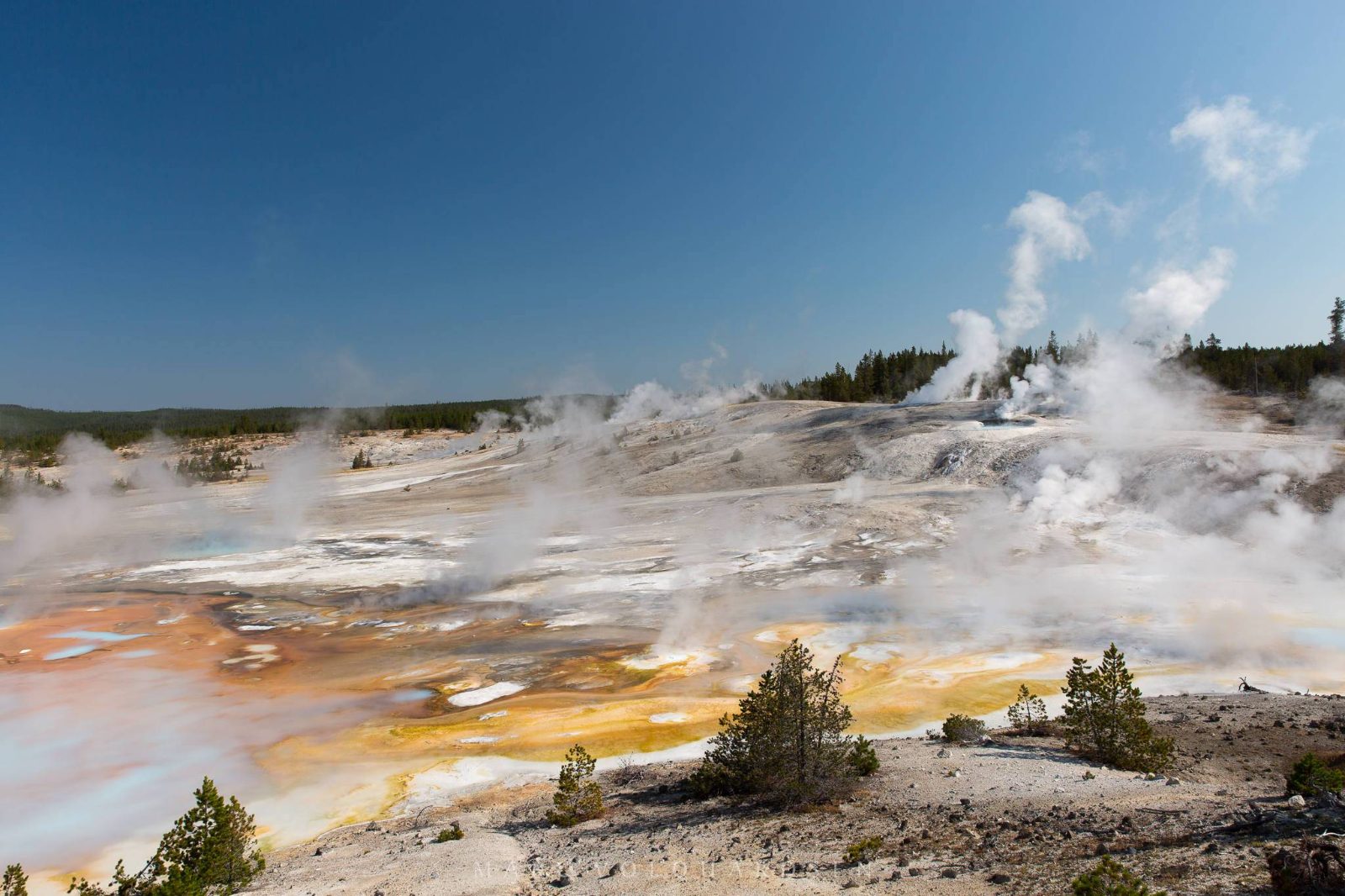 Norris Geyser Basin