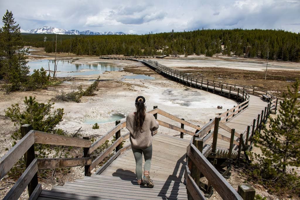 Norris Geyser Basin Back Basin