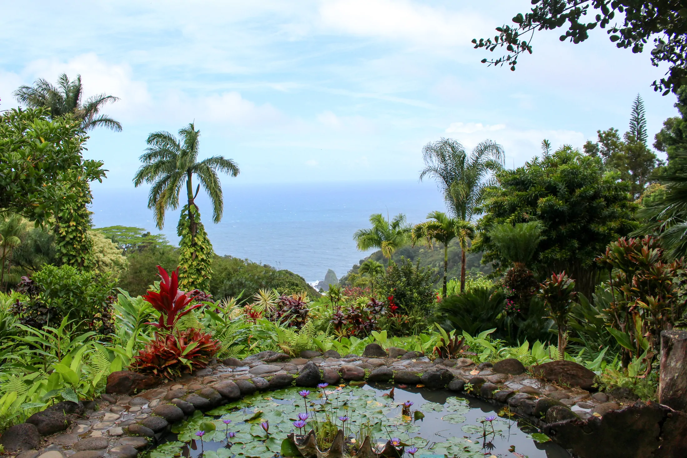 Garden of Eden Arboretum