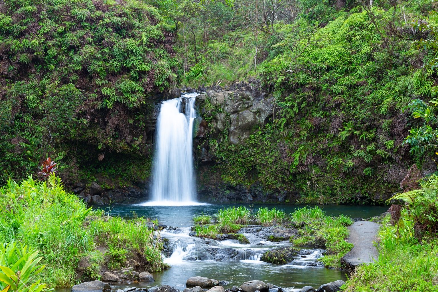 Pua'a Ka'a State Wayside