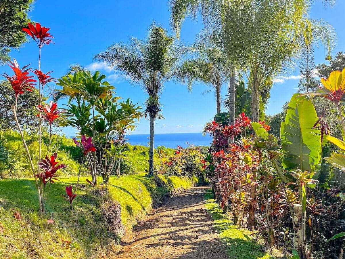 Garden of Eden Arboretum