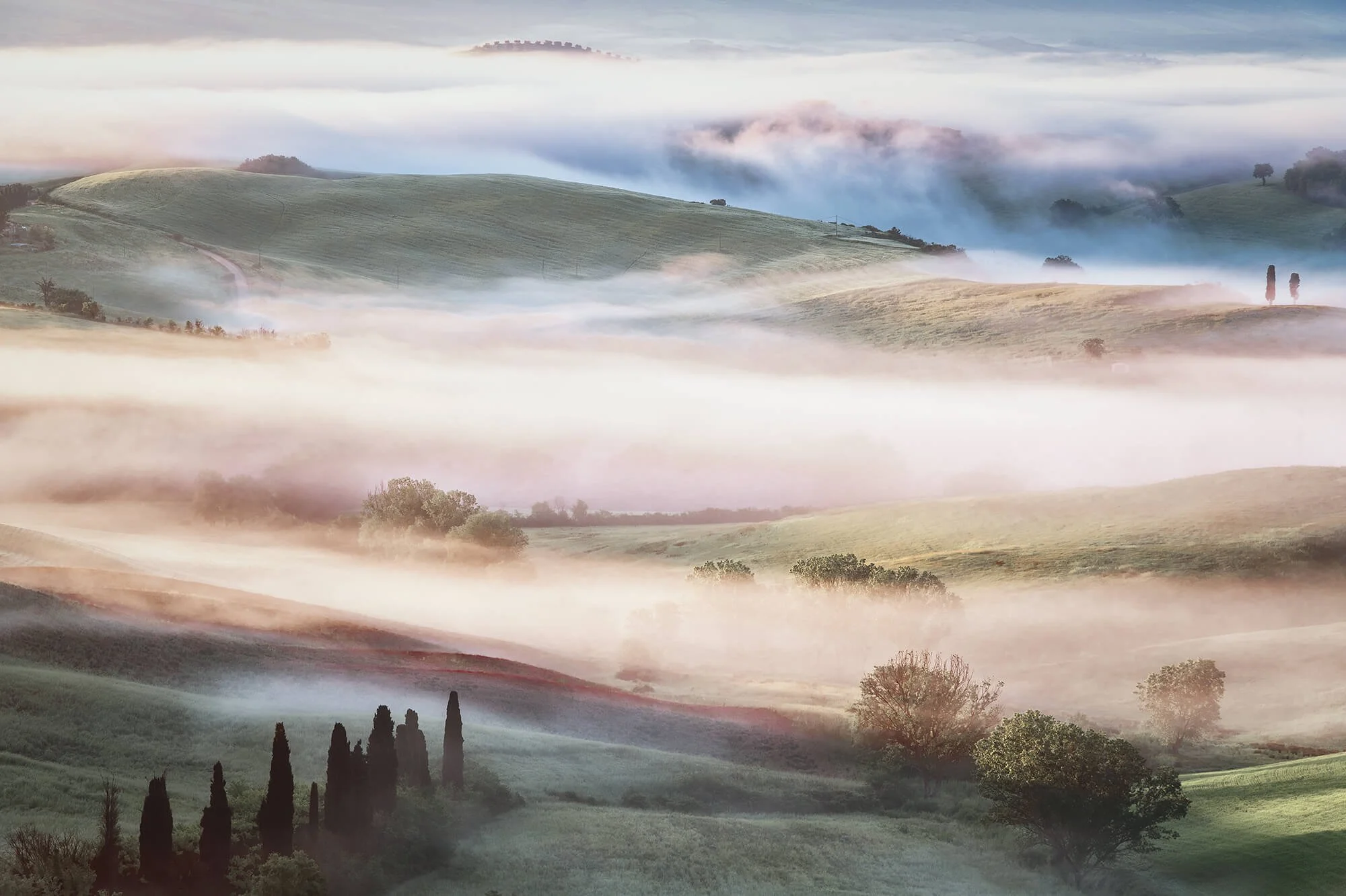 Morning Fog
