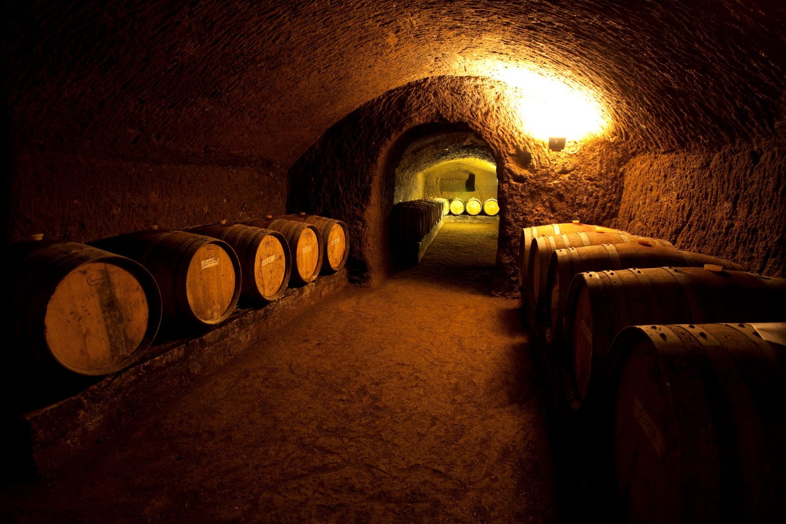 Orvieto Tasting