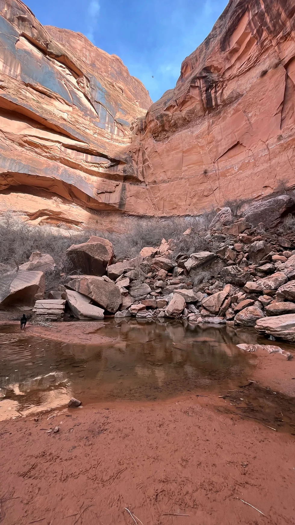 Canyon Walls