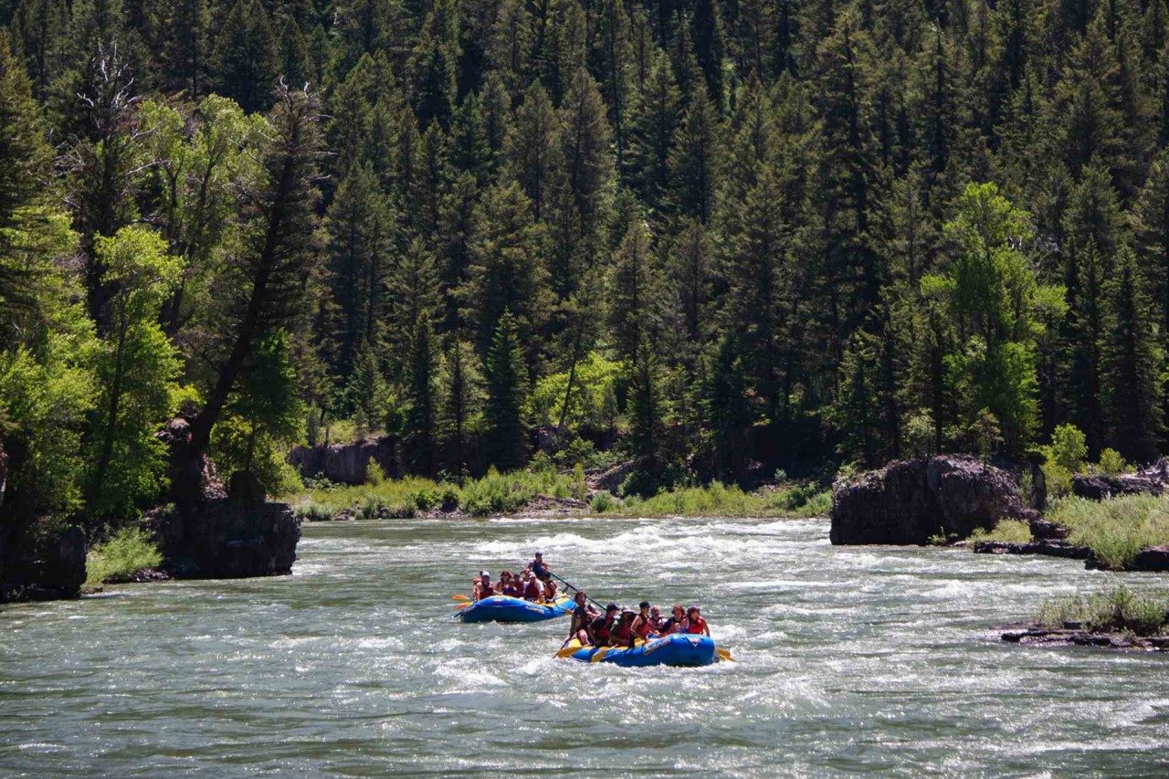 Snake River Rapids