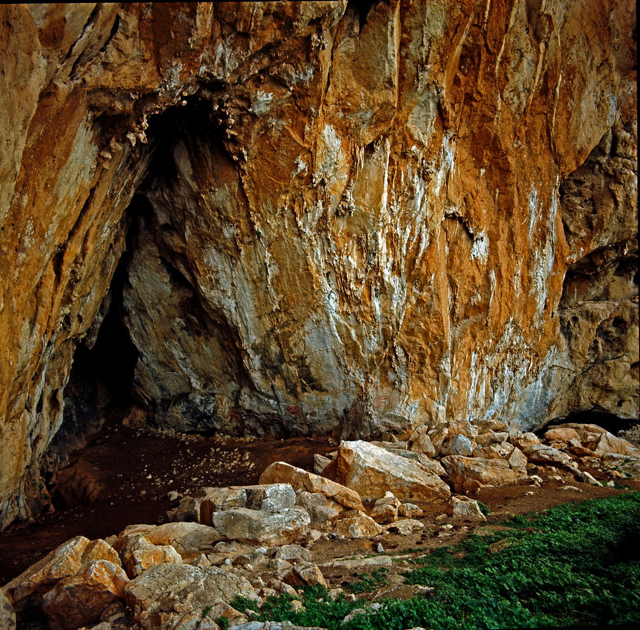 Addaura