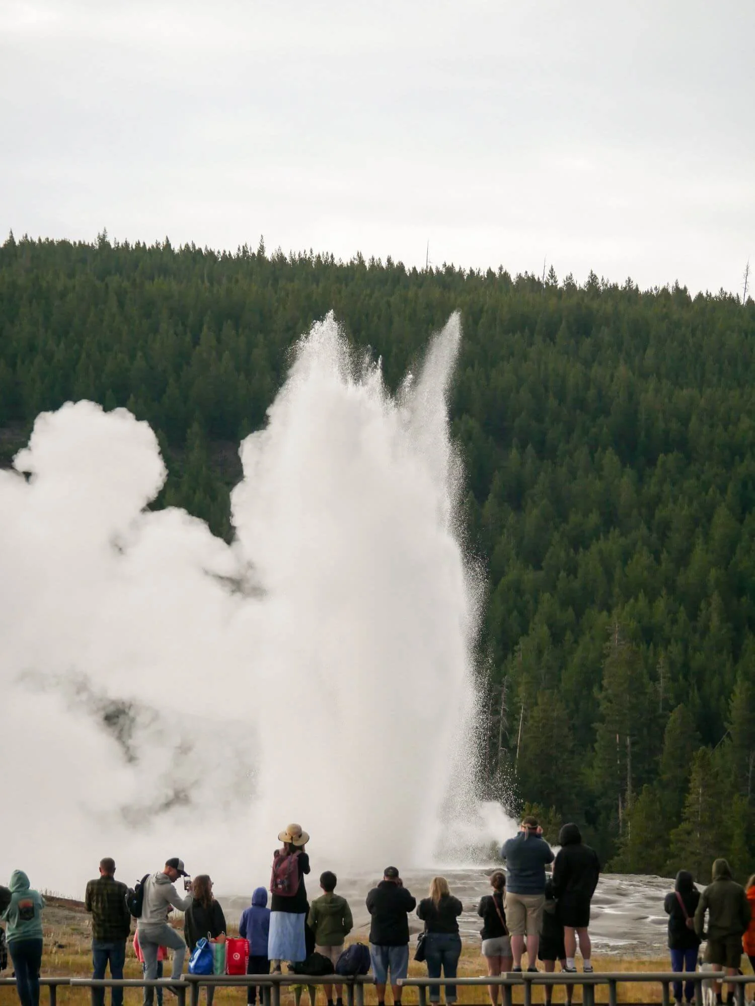 West Yellowstone Private Tours