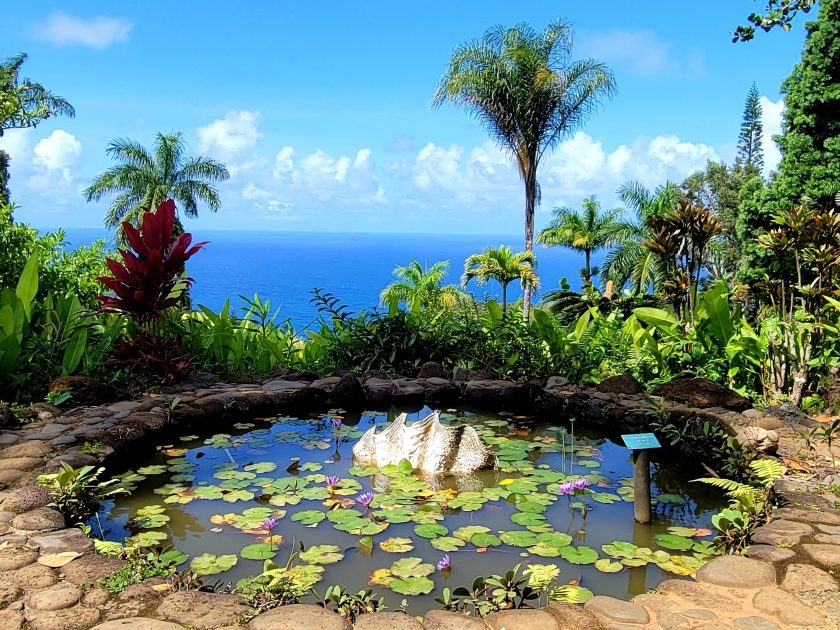 Garden of Eden Arboretum