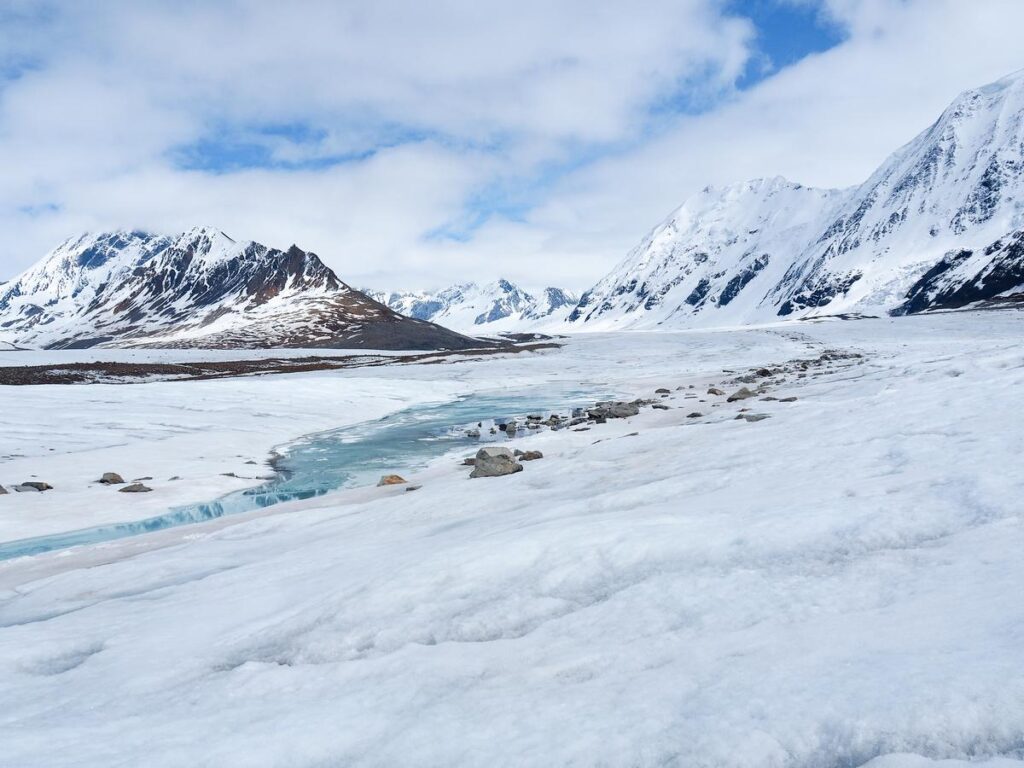 Yanert Glacier