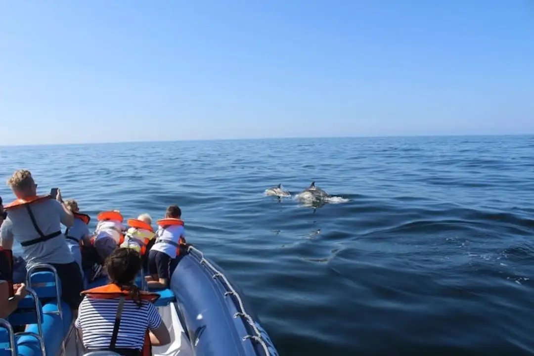 Pirate Dolphin Cruise Orange Beach