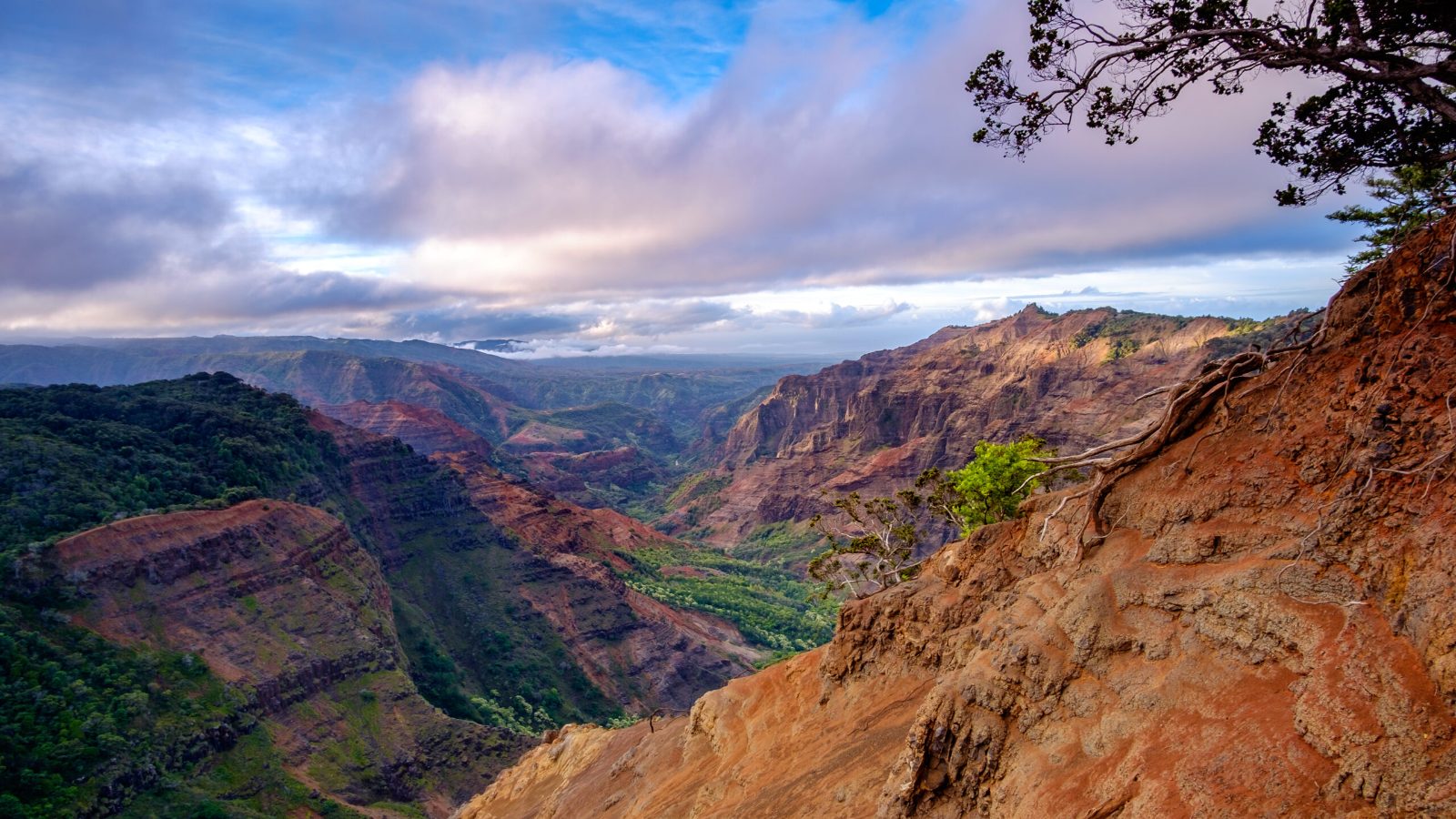 Waimea Canyon State Park