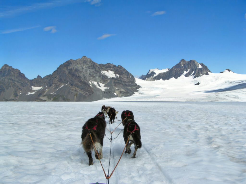 Ice Field Plateau