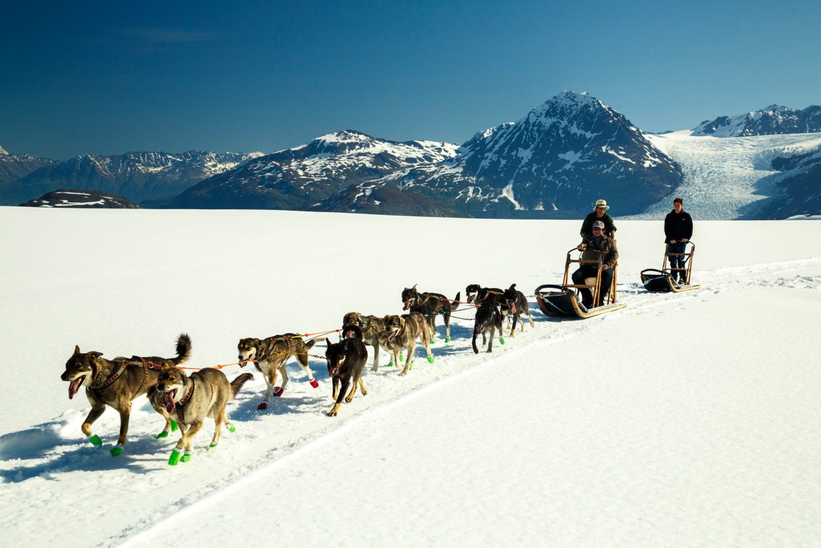 Knik Helicopter Glacier Dog Sled Tour