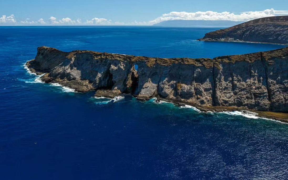 Forbidden Island Sea Cliffs