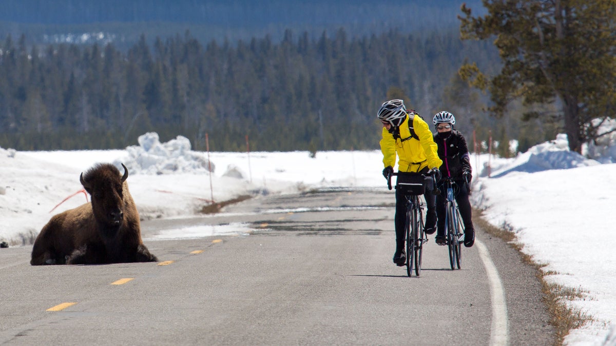 West Yellowstone Bike Tours