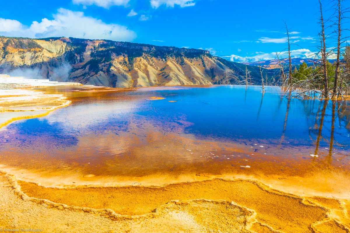 Mammoth Hot Springs