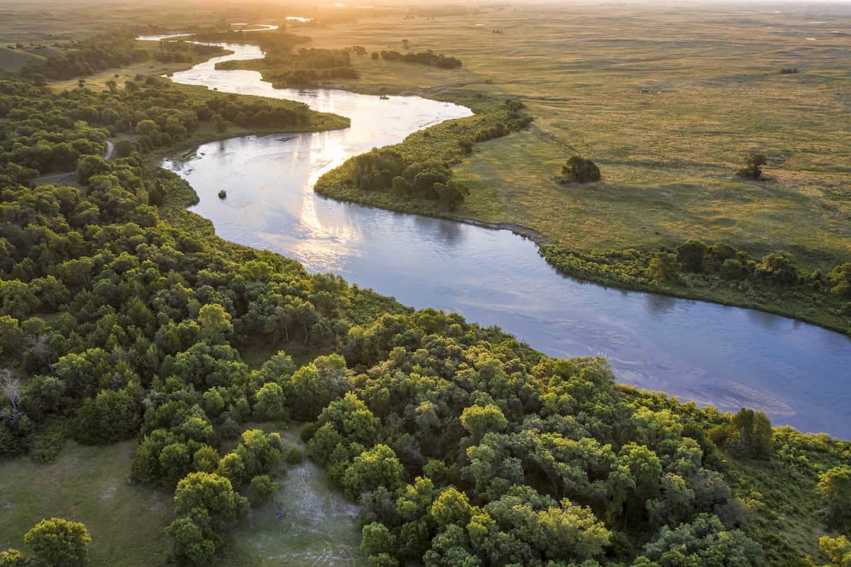 River Ecosystem