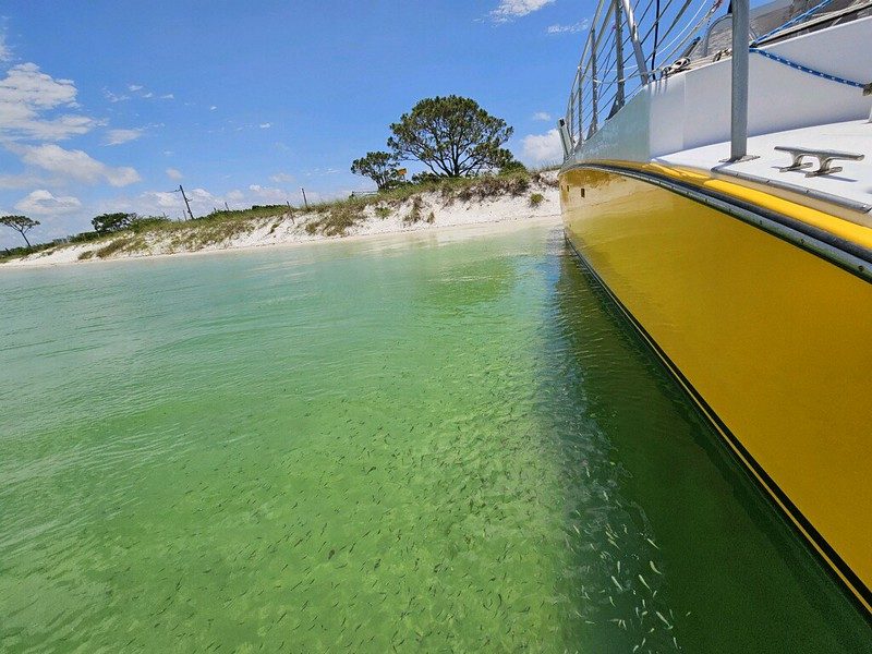 Robinson Island Shoals