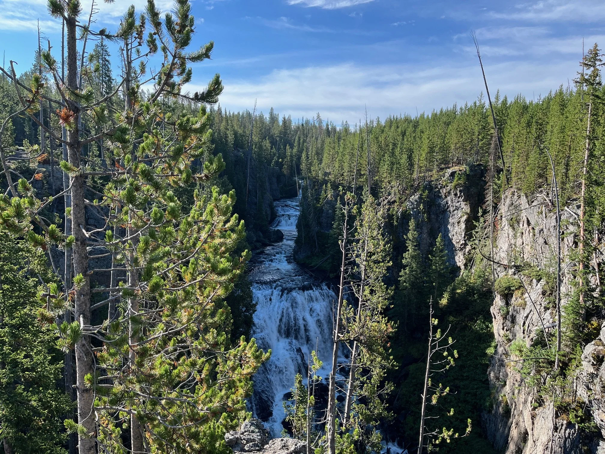 Kepler Cascades