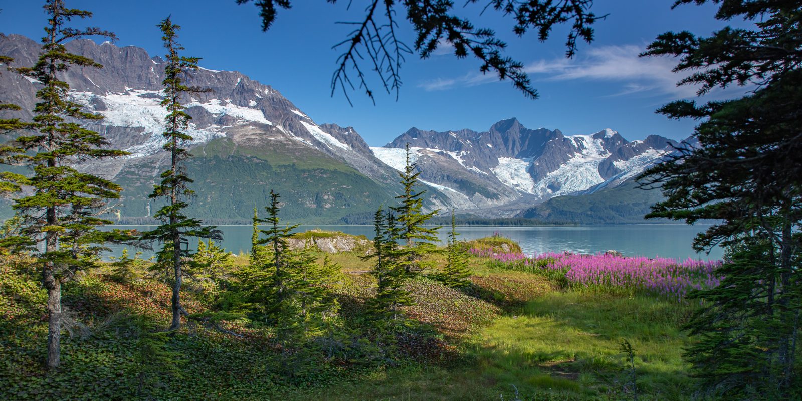 Harriman Fjord