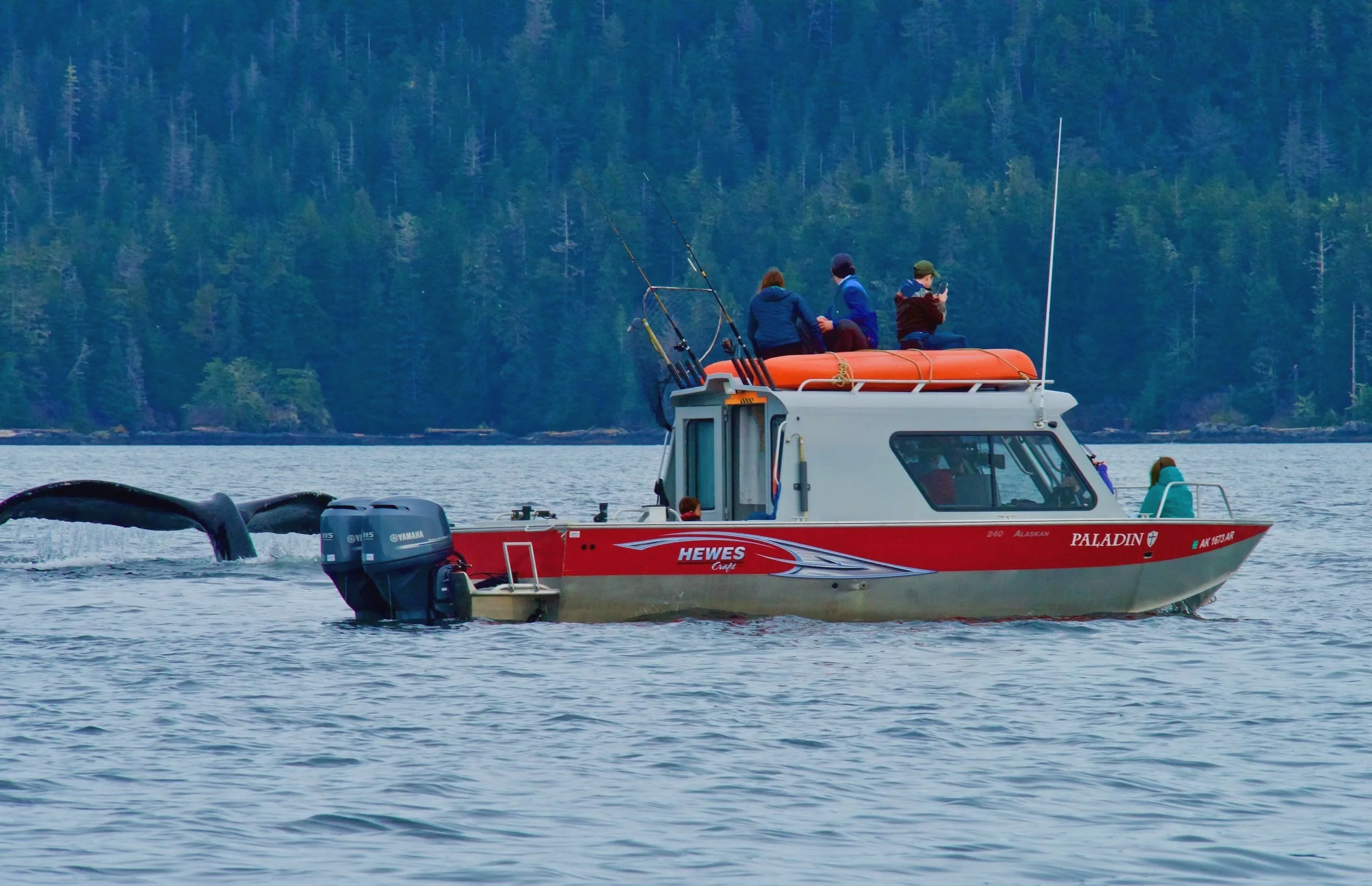 Excursion Vessel Bow