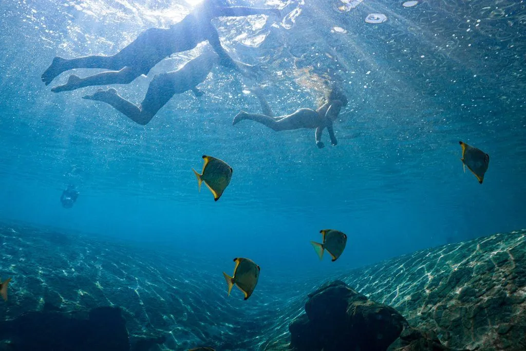 Snorkeling Segment