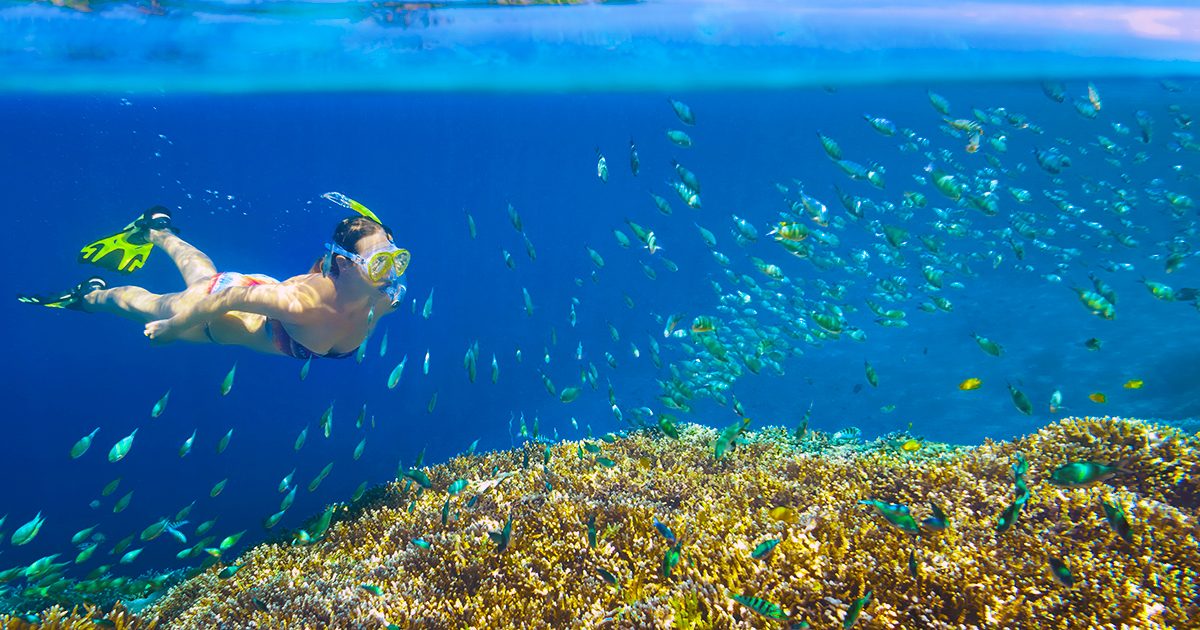 Snorkeling