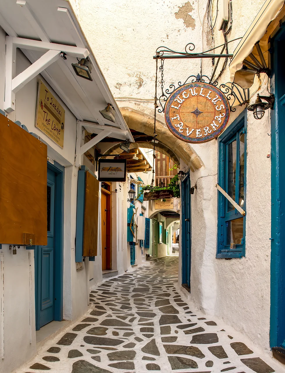 Naxos City Center