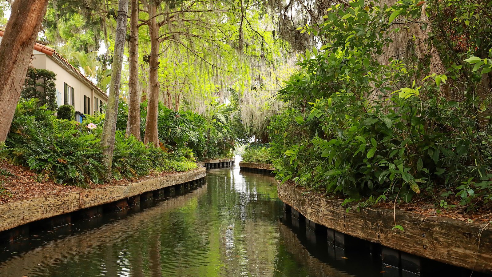 Venice Canal Residential Corridor