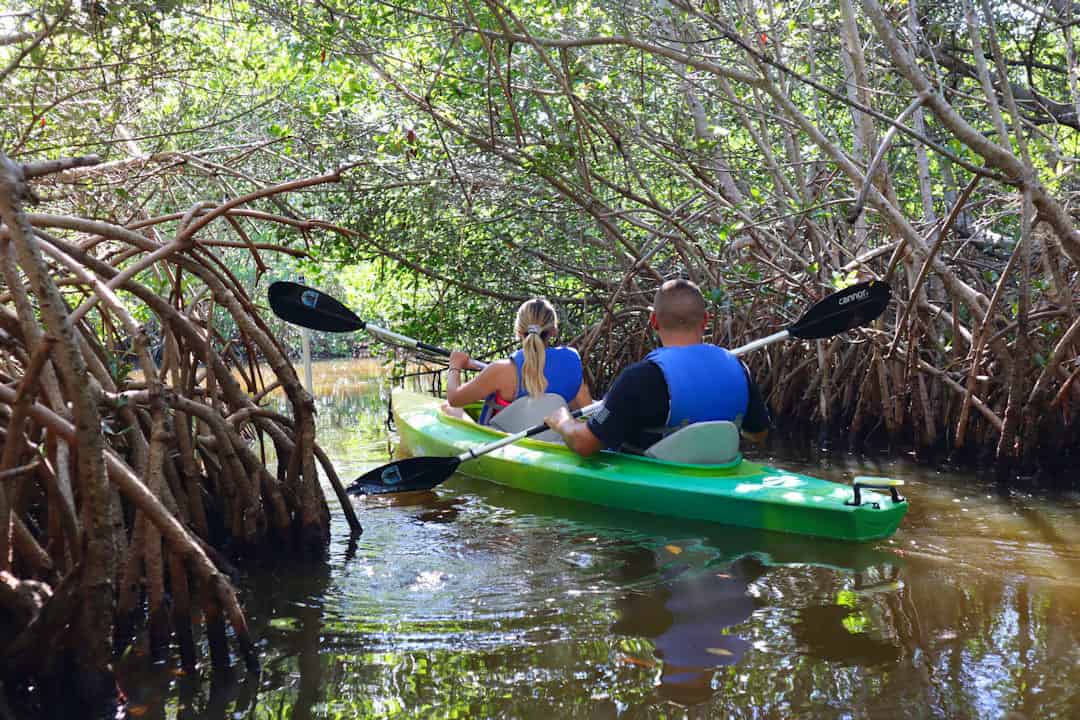 Venice Fl Kayak Tour