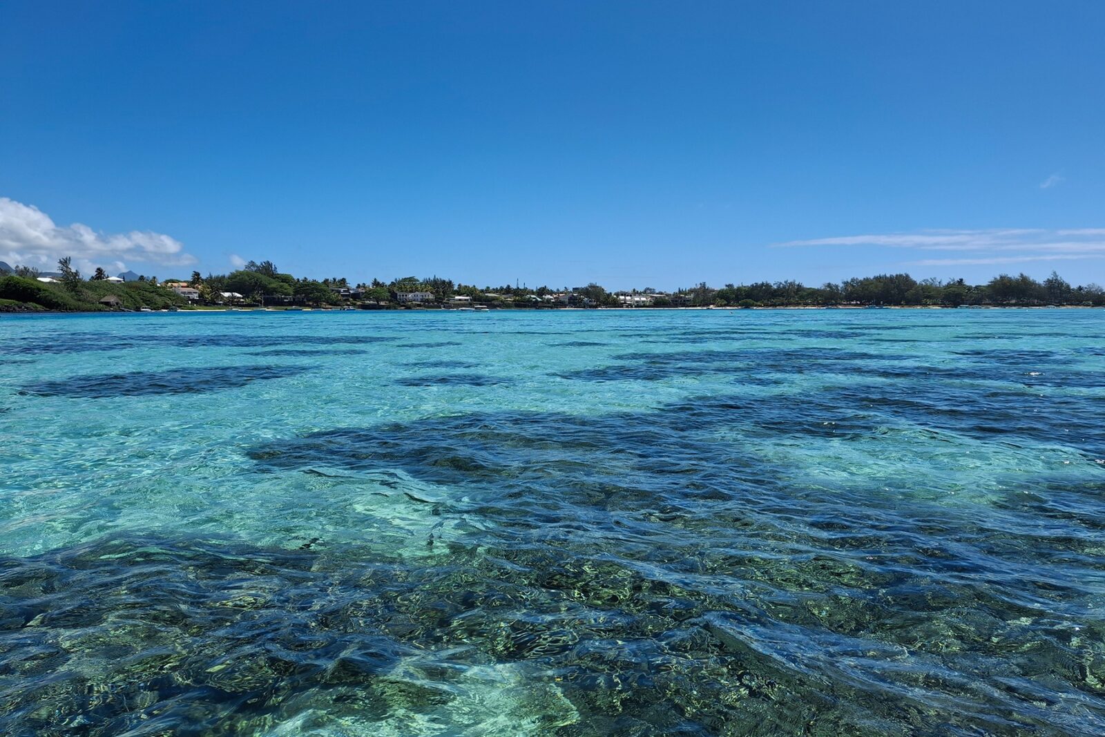 Shallow Lagoon Shoals