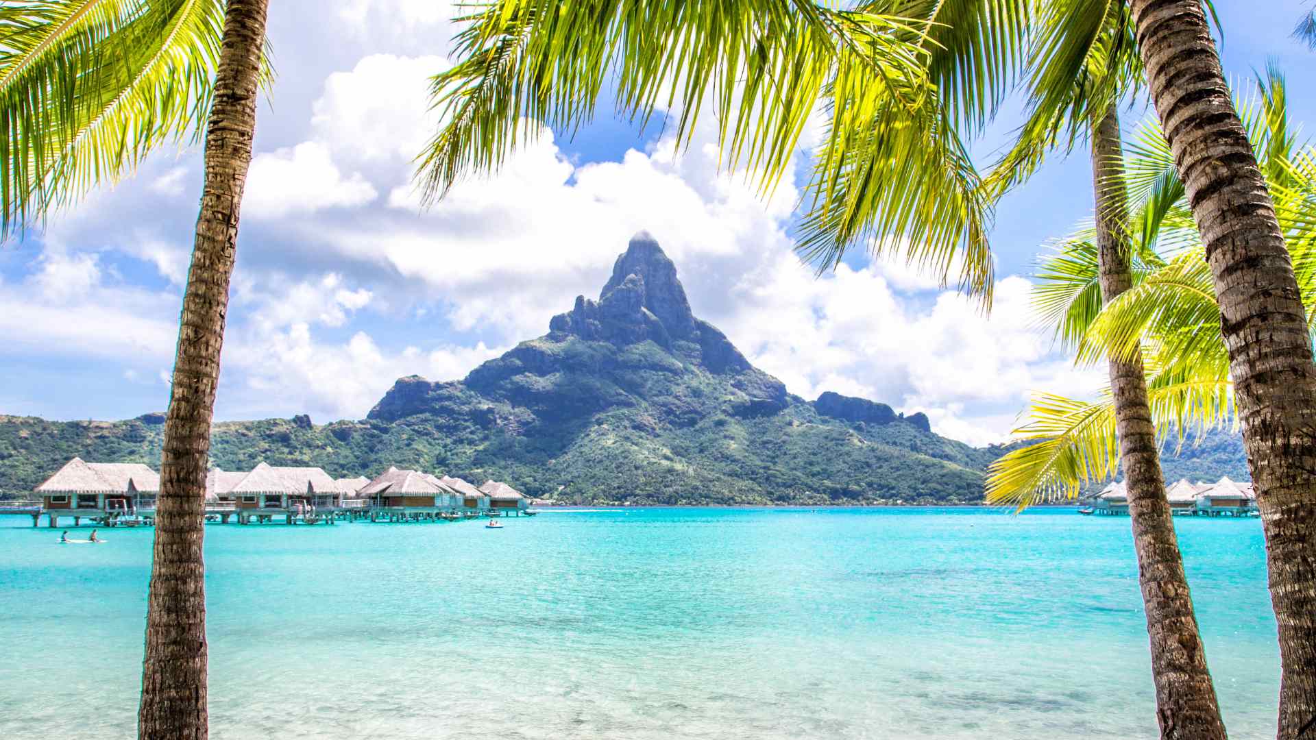 Coastal Marine Sanctuary