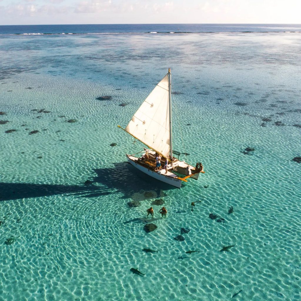 Traditional Polynesian Navigation
