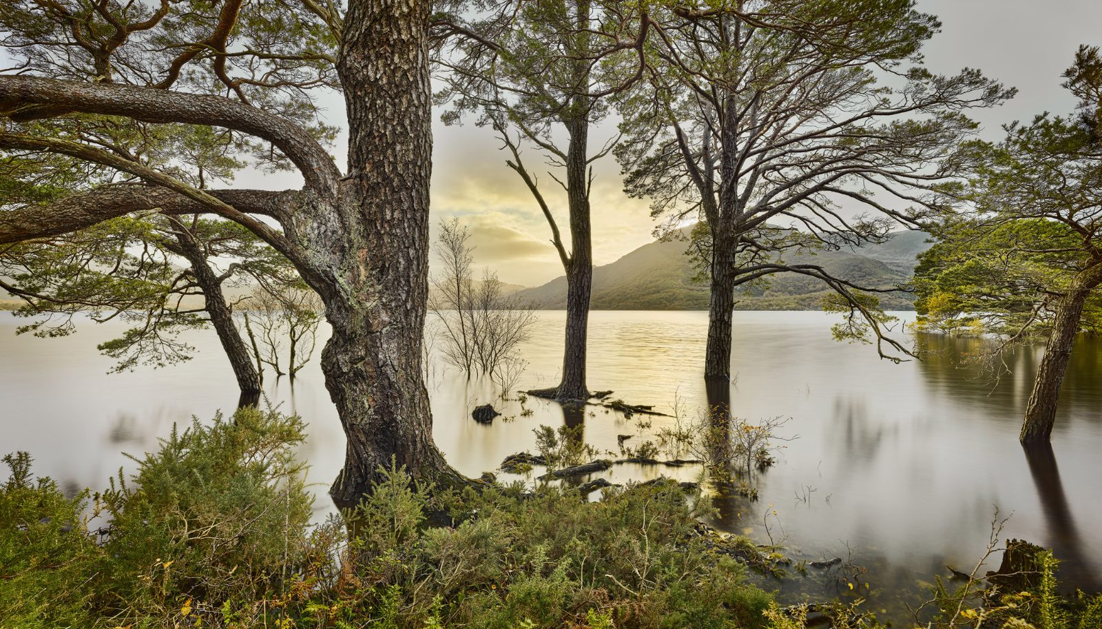 Lough Leane