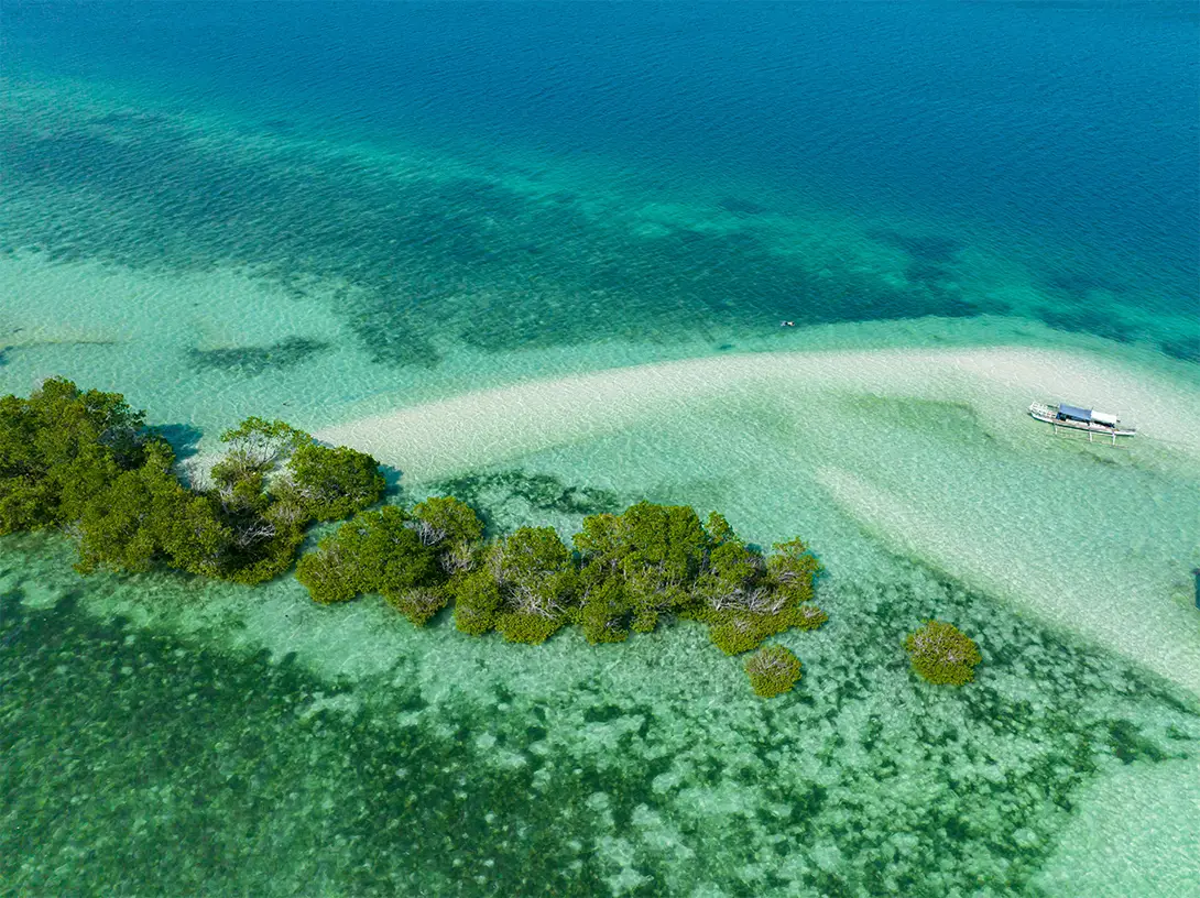 Vanishing Island