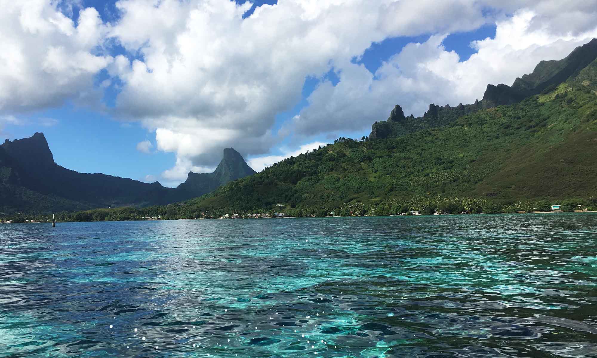 Moorea Backdrop View