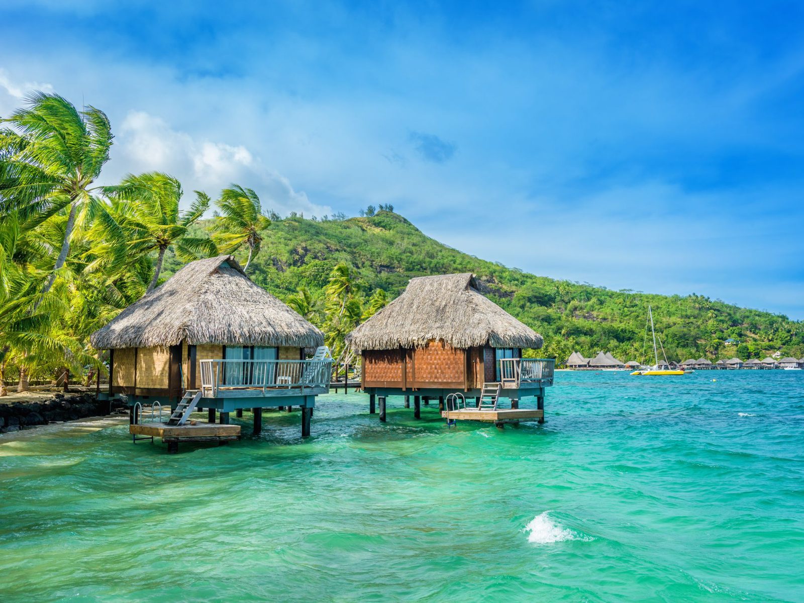 Island Guest House