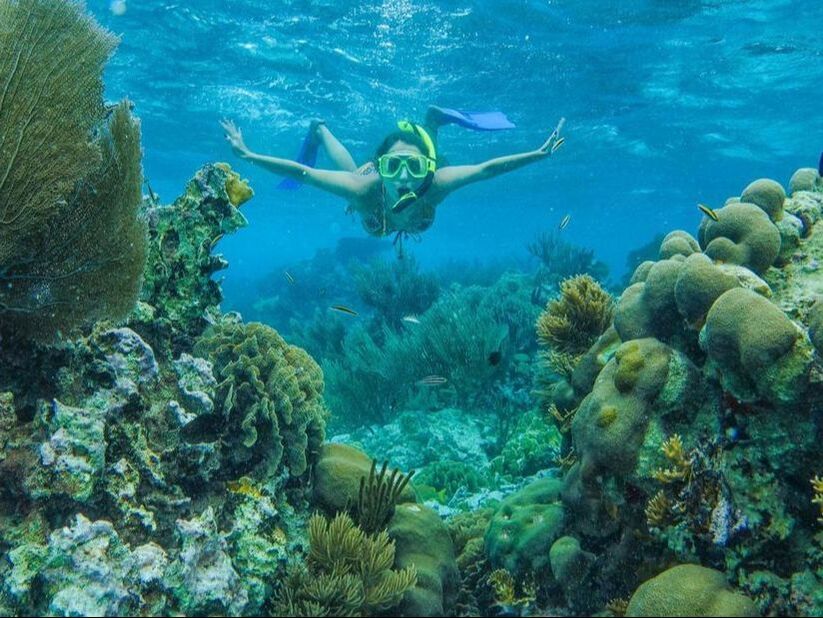 Coral Gardens