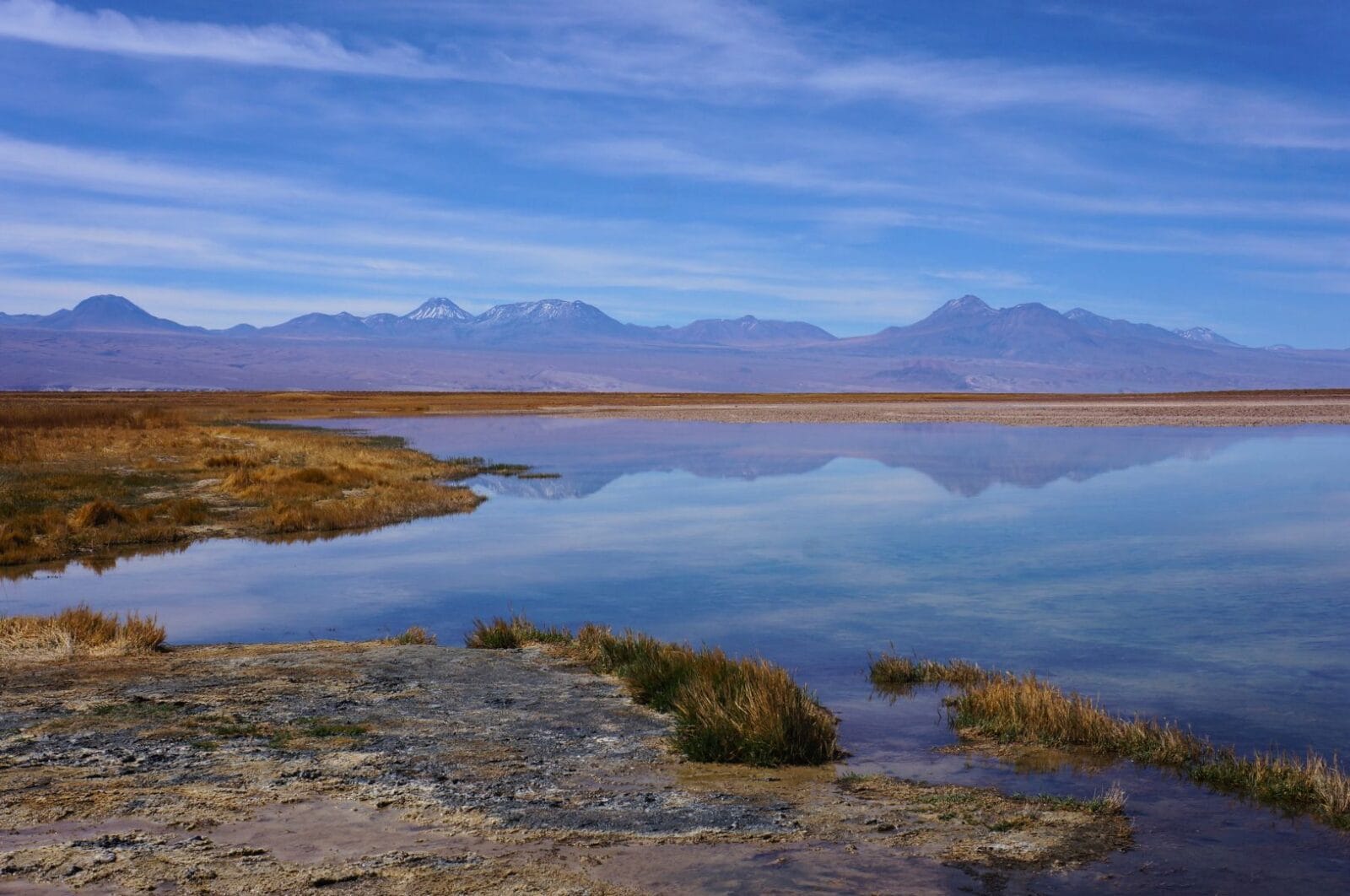 Laguna Cejar