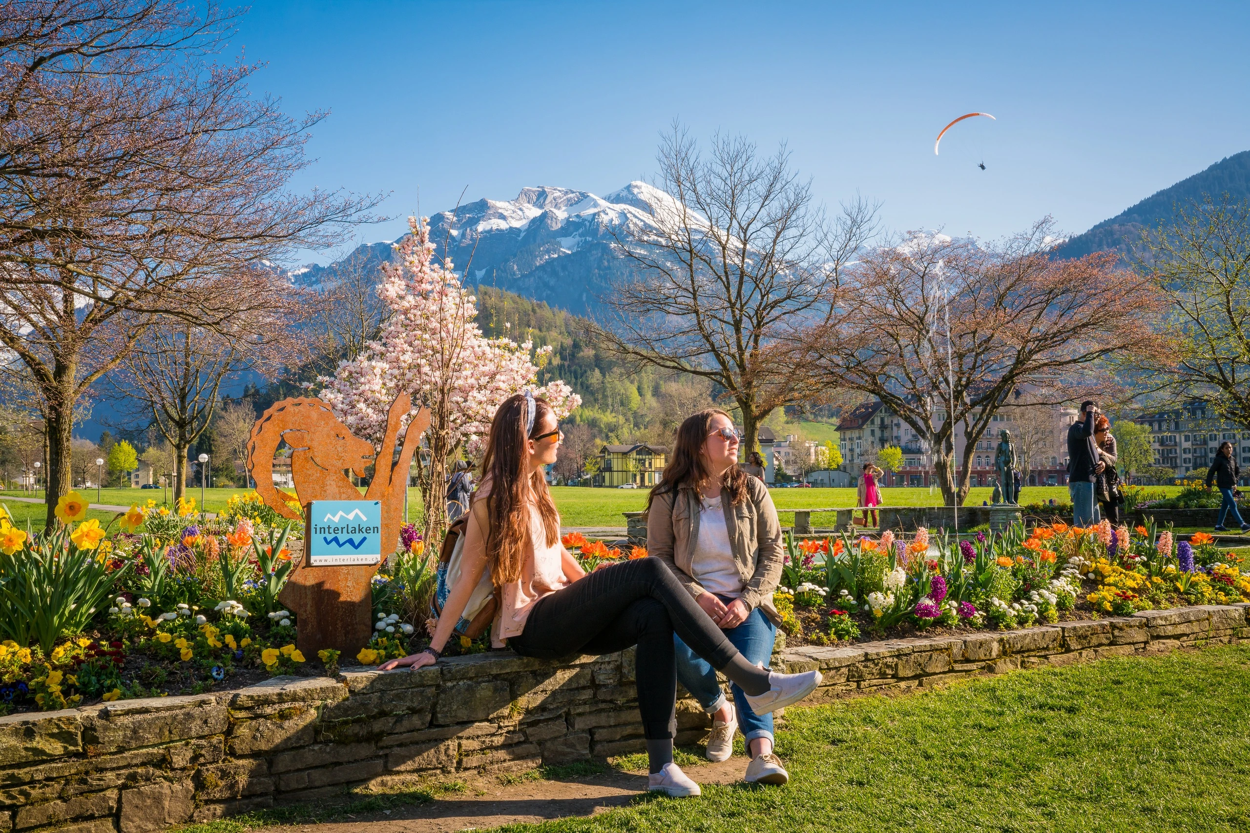 Zurich to Interlaken Grindelwald Day Trip
