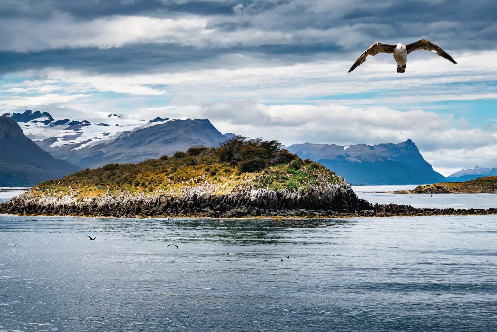 Beagle Channel Coastal Viewpoint