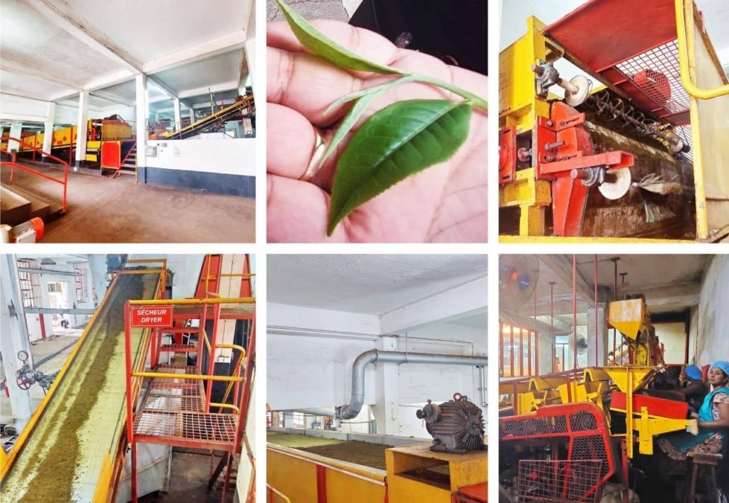 Factory Processing Floor