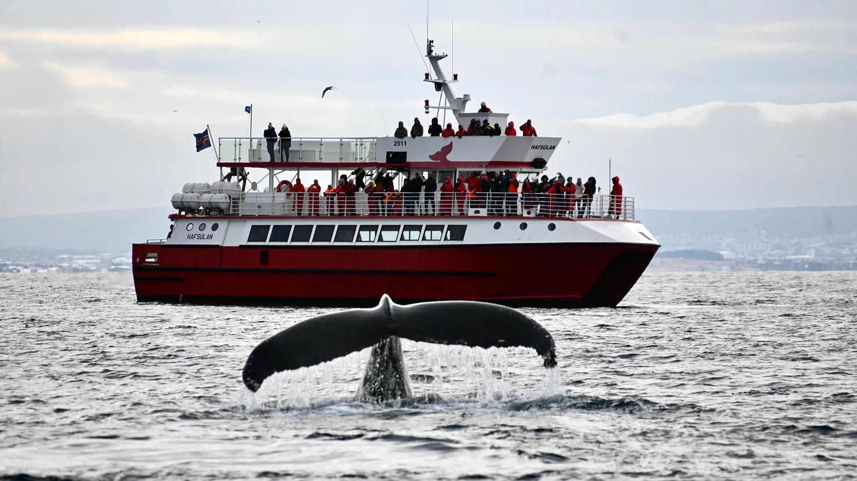 Marine Biologist Guides