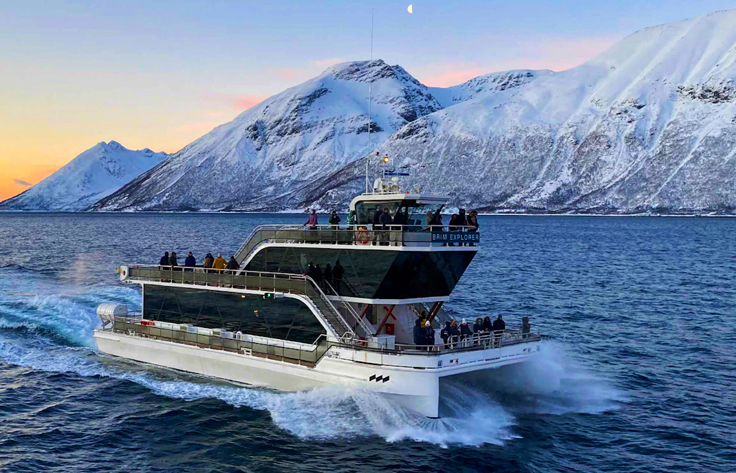 The Bow Deck