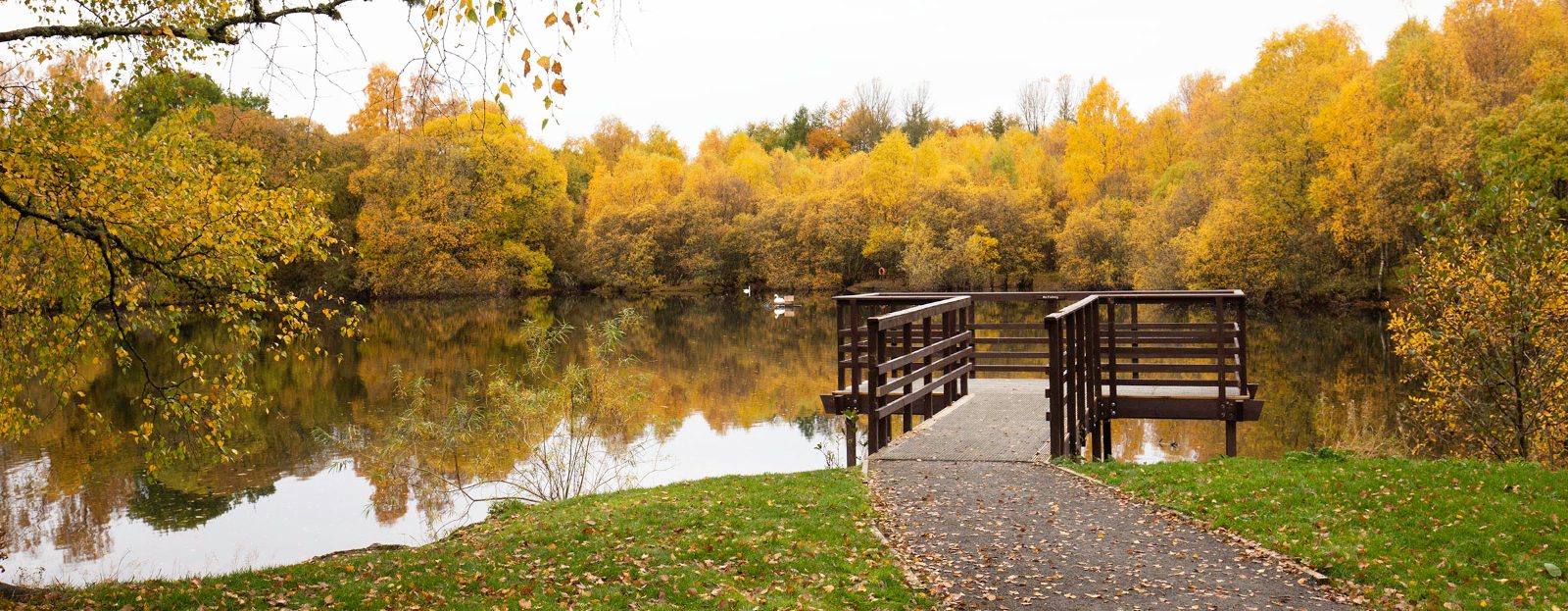 Doune Ponds