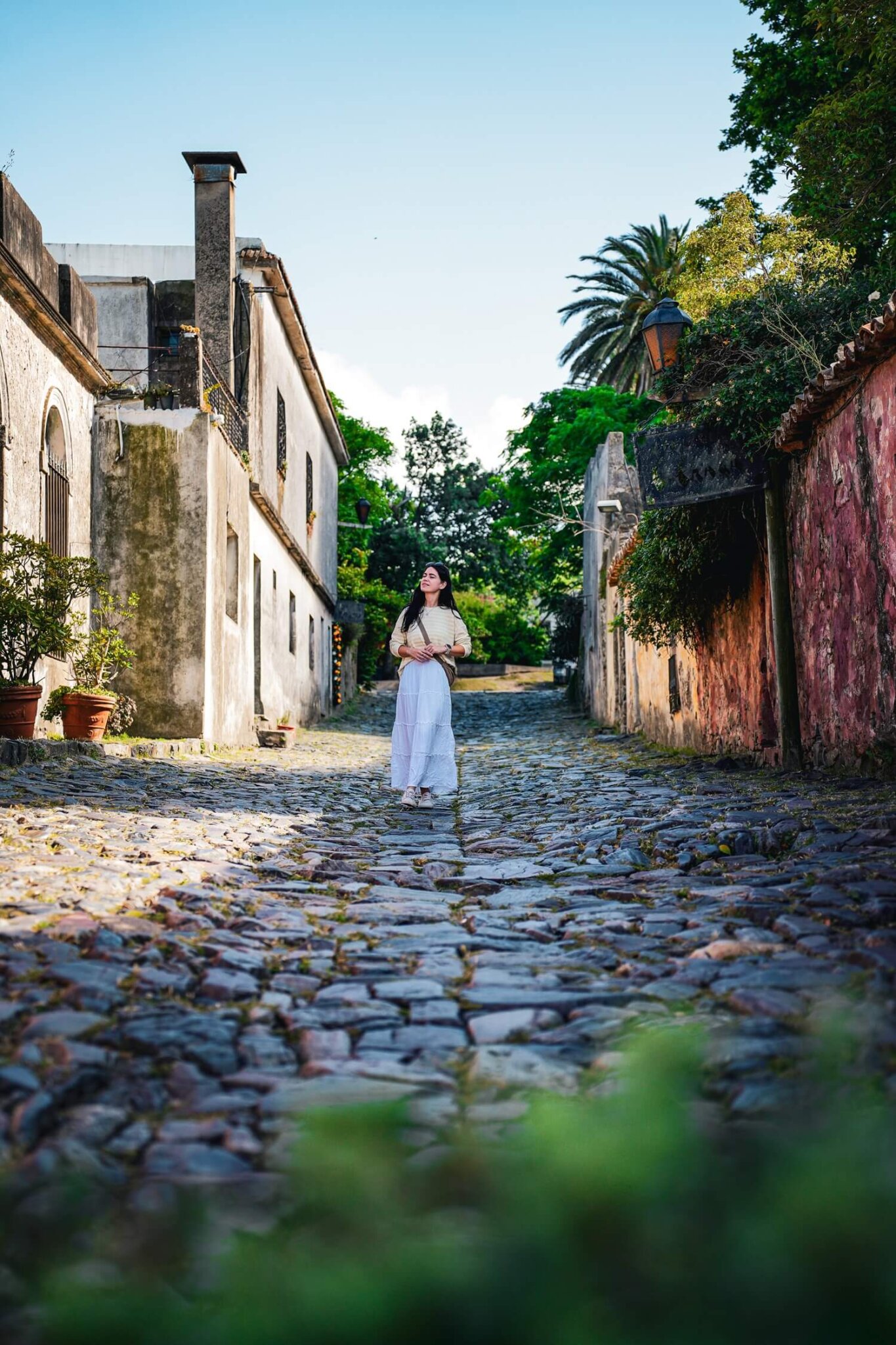 Colonia Premium Day Tour From Buenos Aires
