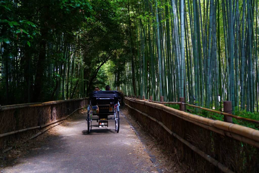 Arashiyama Bamboo Grove Path