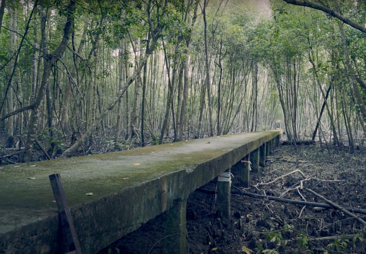 Kuala Selangor Nature Park