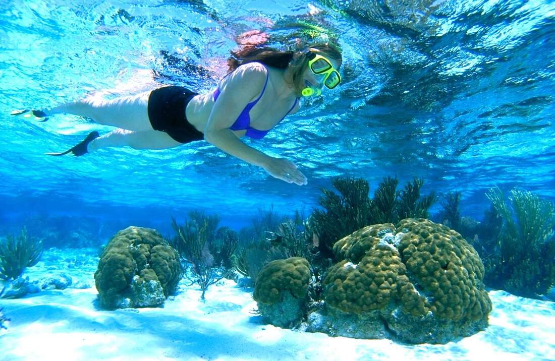 Coral Gardens