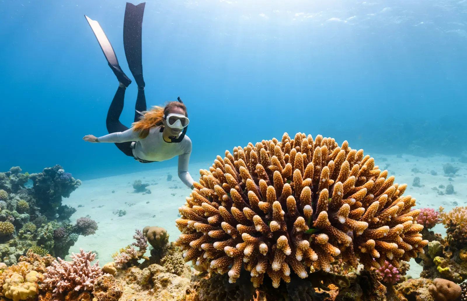 Snorkeling Session